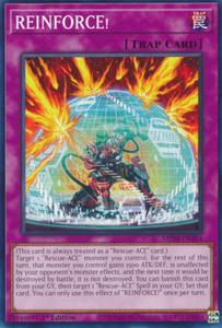 REINFORCE! - MP24-EN354 - Common 1st Edition