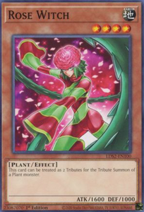 Rose Witch - LDS2-EN100 - Common 1st Edition