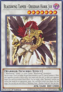 Blackwing Tamer - Obsidian Hawk Joe - LDS2-EN042 - Common 1st Edition